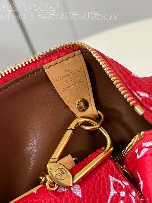 25 Vuitton Louis SPEEDY 0524